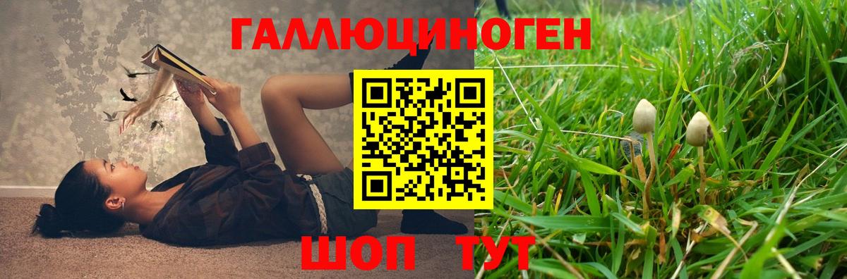 Псилоцибиновые грибы прущие грибы Карпинск